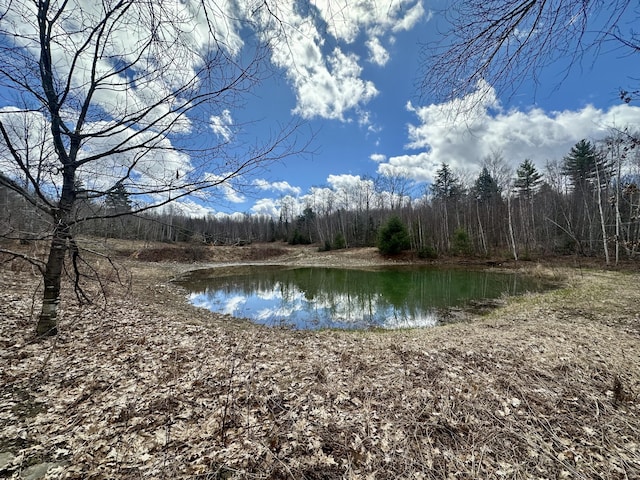 42 Cyrs Siding Rd, Saint Albans, ME 04971 - water view with a heavily wooded area