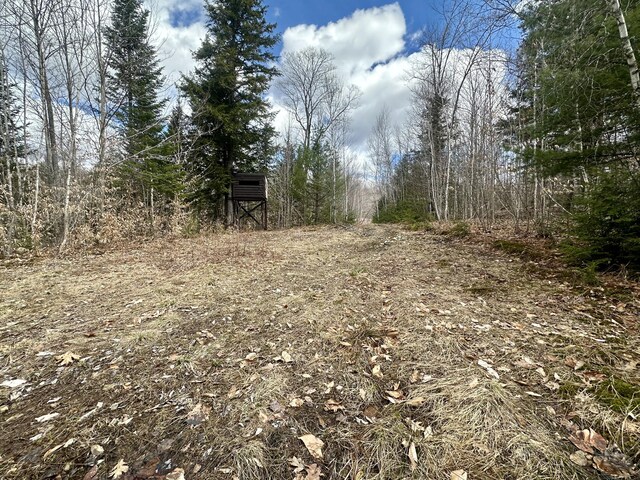 42 Cyrs Siding Rd, Saint Albans, ME 04971 - view of nature