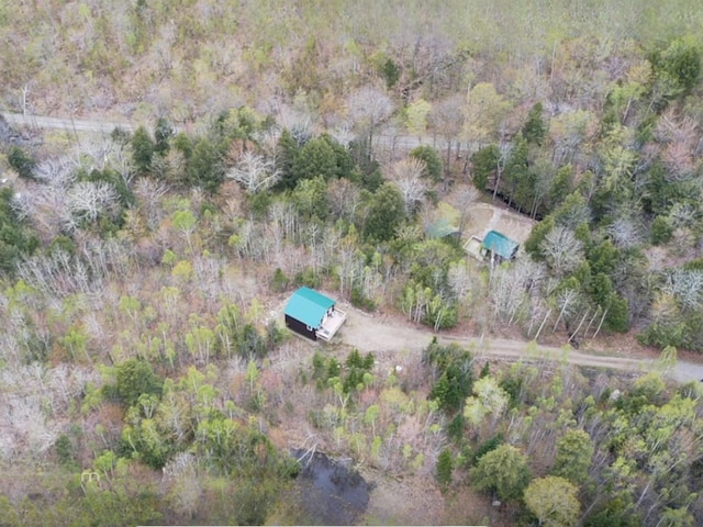 42 Cyrs Siding Rd, Saint Albans, ME 04971 - aerial view of property's location