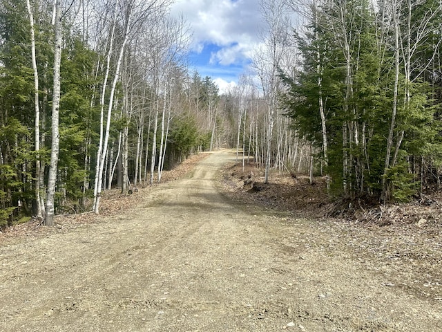 42 Cyrs Siding Rd, Saint Albans, ME 04971 - view of dirt / gravel road with a wooded view