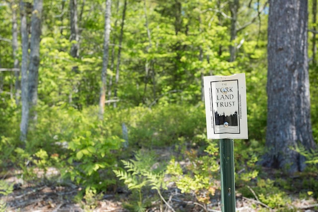7 Dory Dr, York, ME 03902 - photo 53