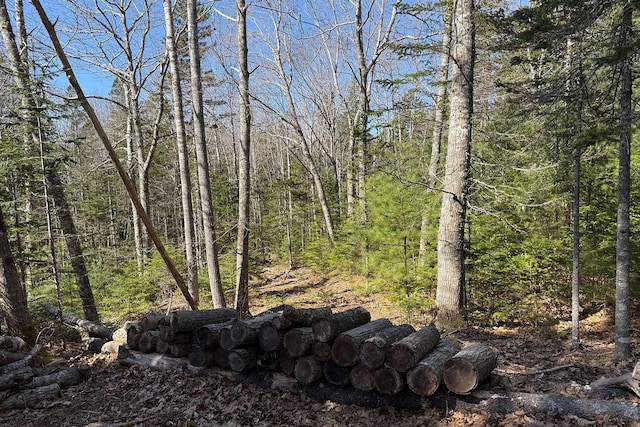 000 Hartwood Way, Mount Desert, ME 04660 - photo 4