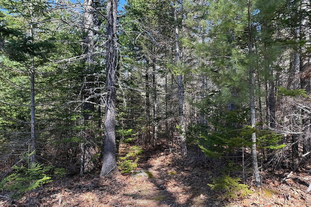000 Hartwood Way, Mount Desert, ME 04660 - photo 3