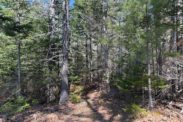 000 Hartwood Way, Mount Desert, ME 04660 - photo 3