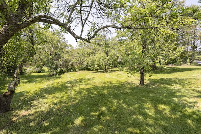 111 Bucknam Rd, Falmouth, ME 04105 - photo 53