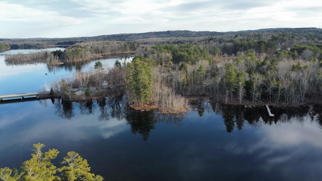 1363 Hallowell Rd, Litchfield, ME 04350 - aerial view of property and surrounding area featuring a heavily wooded area and a large body of water