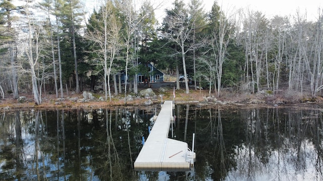 1363 Hallowell Rd, Litchfield, ME 04350 - dock area featuring a water view and a view of trees