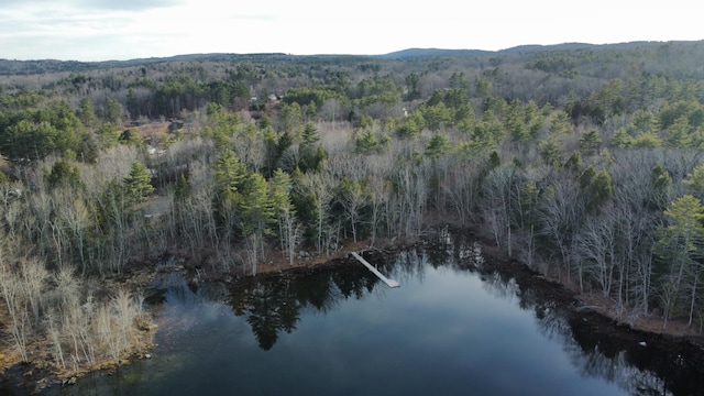 1363 Hallowell Rd, Litchfield, ME 04350 - aerial overview of property's location with a forest and a large body of water