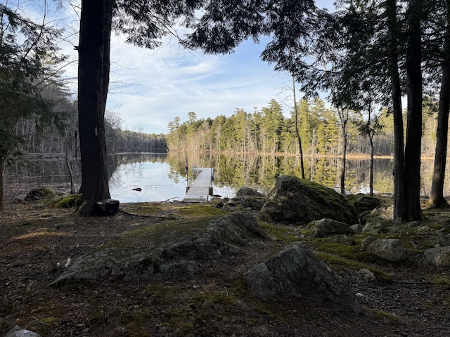 1363 Hallowell Rd, Litchfield, ME 04350 - water view featuring a dock and a forest