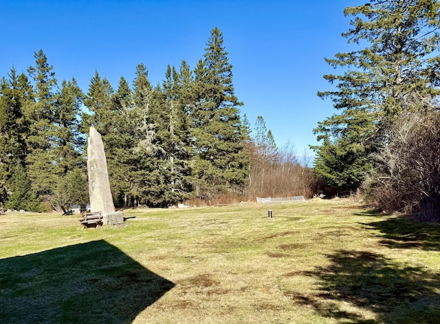 26 Hamilton Dr, Vinalhaven, ME 04863 - view of green lawn