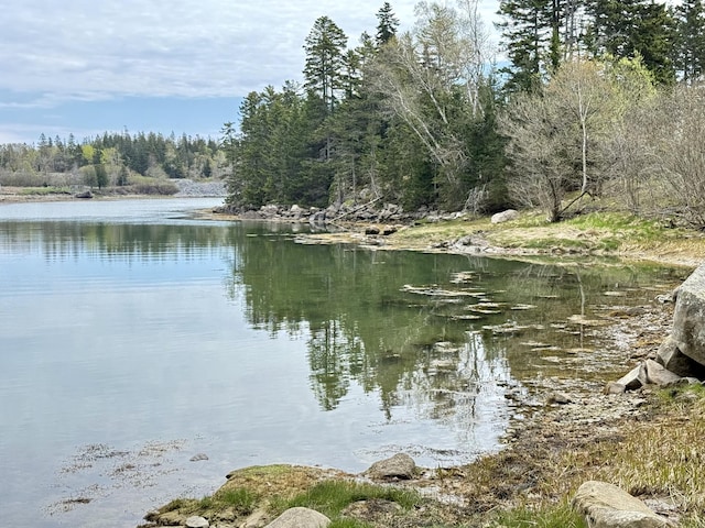 26 Hamilton Dr, Vinalhaven, ME 04863 - water view with a forest