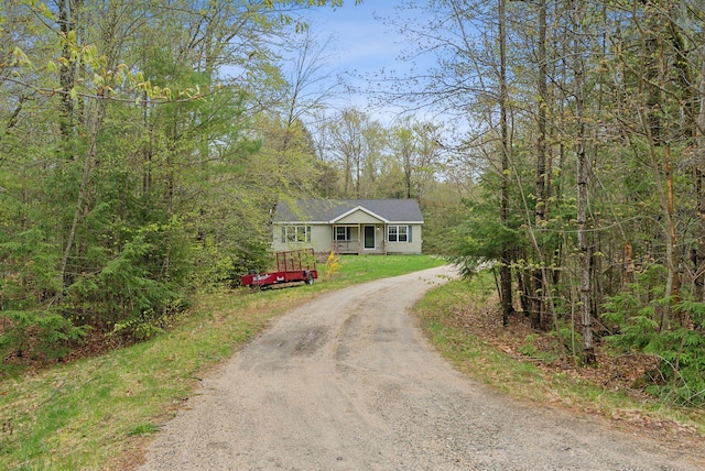 view of front of property featuring dirt driveway and a view of trees