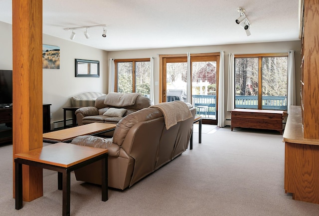 63 Fletcher St, Kennebunk, ME 04043 - living area with rail lighting, light carpet, and baseboard heating