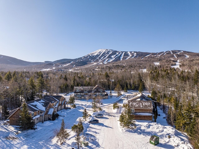 property view of mountains featuring a wooded view