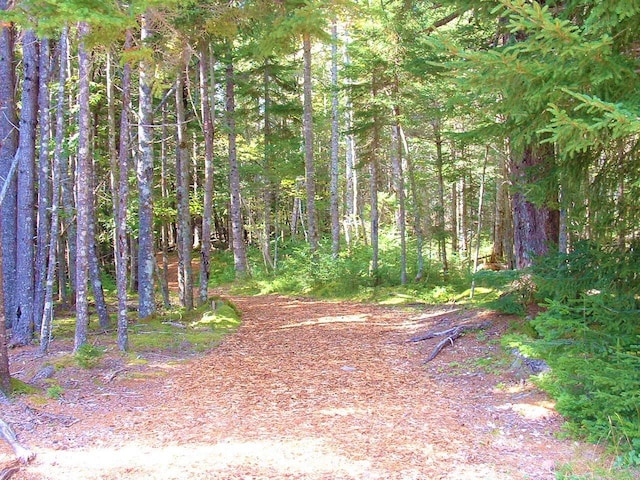 LOT94 Yoho Head Rd, Machiasport, ME 04655