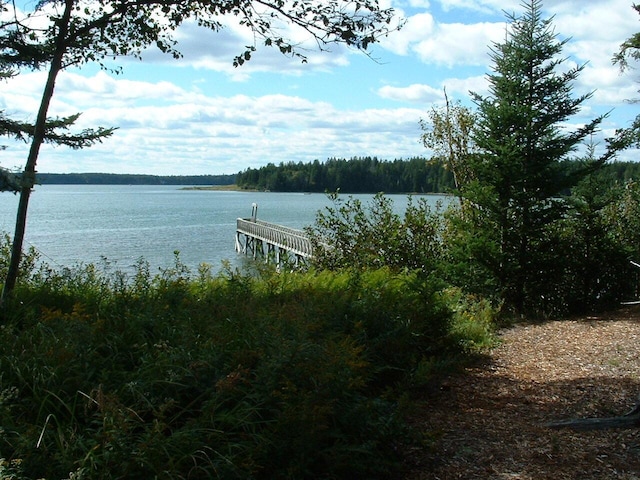 LOT94 Yoho Head Rd, Machiasport, ME 04655