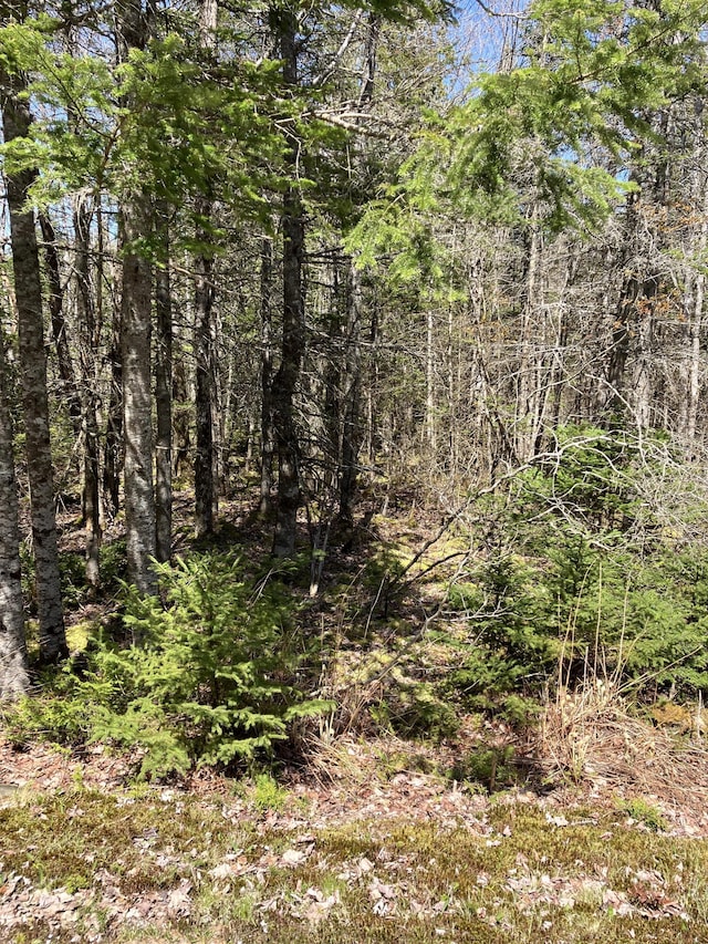 LOT94 Yoho Head Rd, Machiasport, ME 04655