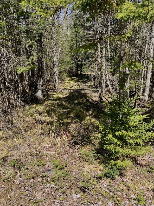 LOT94 Yoho Head Rd, Machiasport, ME 04655