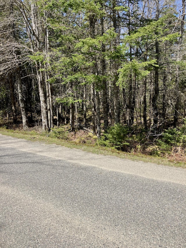 LOT94 Yoho Head Rd, Machiasport, ME 04655