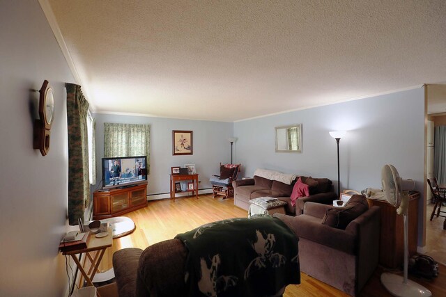 living area with crown molding, a baseboard radiator, a textured ceiling, and light wood-style floors