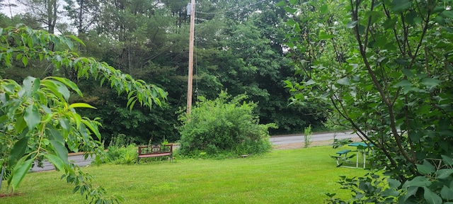 71 Reynolds Rd, Brooks, ME 04921 - view of grassy yard