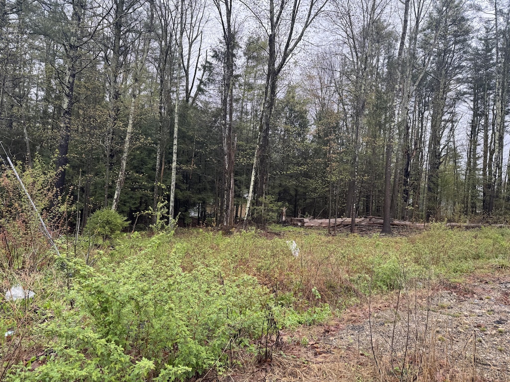 0 Alfred Rd, Arundel, ME 04046