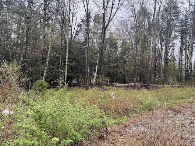 0 Alfred Rd, Arundel, ME 04046