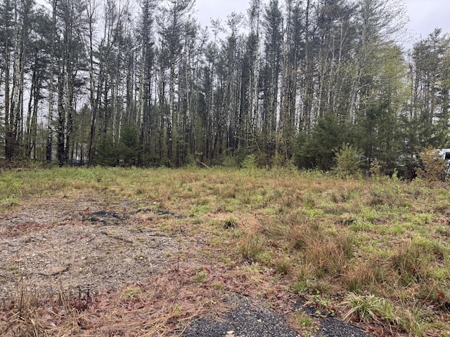 0 Alfred Rd, Arundel, ME 04046