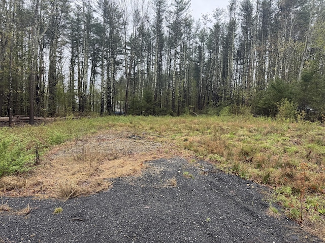 0 Alfred Rd, Arundel, ME 04046