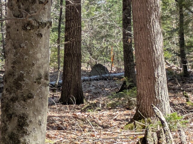 6 Meadow Ln, Fryeburg, ME 04037 - photo 9