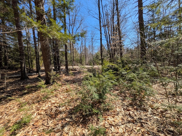 6 Meadow Ln, Fryeburg, ME 04037 - photo 4