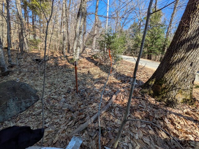 6 Meadow Ln, Fryeburg, ME 04037 - photo 5