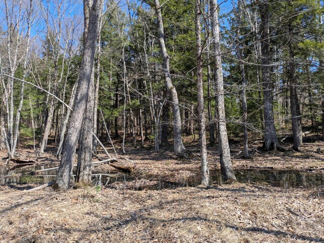 6 Meadow Ln, Fryeburg, ME 04037 - photo 7