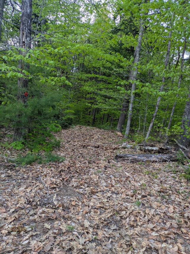 6 Meadow Ln, Fryeburg, ME 04037 - photo 6