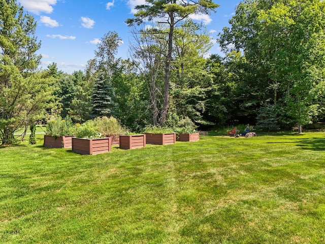 129 Loon Call Dr, Belgrade, ME 04917 - view of green lawn featuring a view of trees