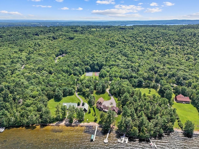 129 Loon Call Dr, Belgrade, ME 04917 - aerial view of a heavily wooded area and a nearby body of water
