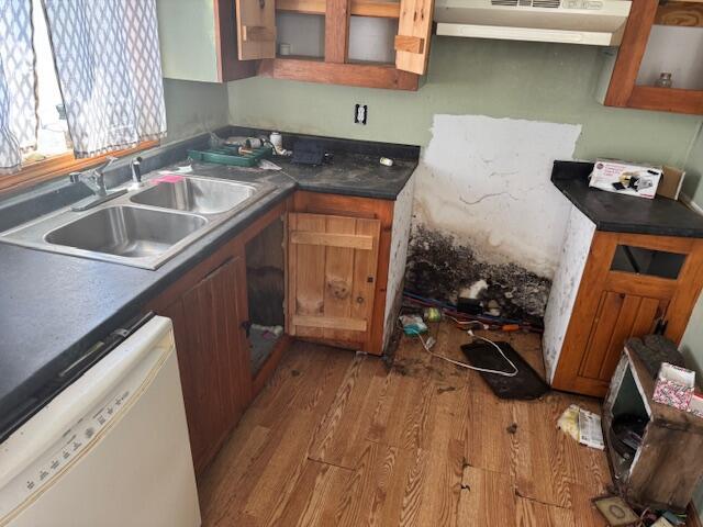 kitchen with white dishwasher, a sink, under cabinet range hood, and wood finished floors