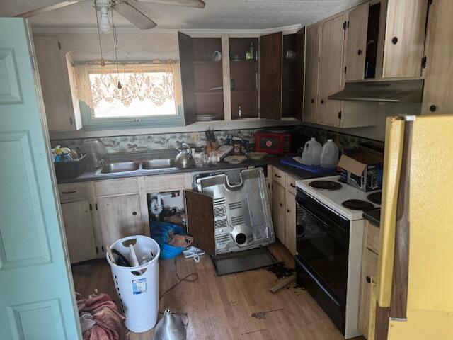 kitchen with range with electric cooktop, freestanding refrigerator, under cabinet range hood, light wood-type flooring, and a sink