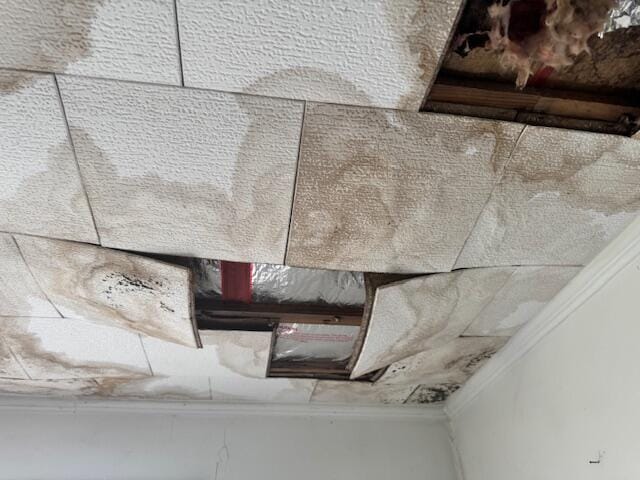 detailed view of crown molding