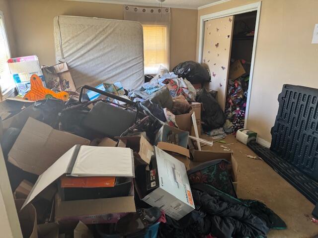 misc room with carpet floors