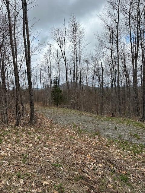 33 Bay View Dr, Greenville, ME 04441