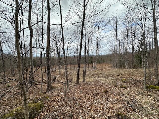33 Bay View Dr, Greenville, ME 04441