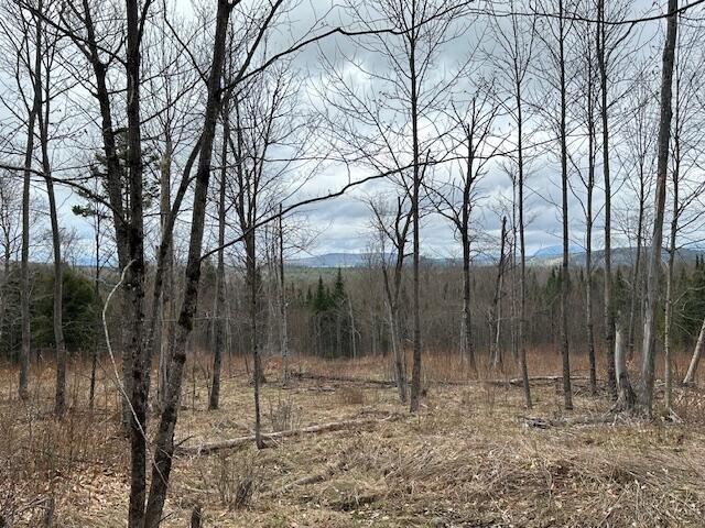 33 Bay View Dr, Greenville, ME 04441