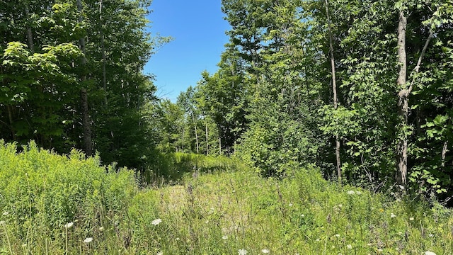33 Bay View Dr, Greenville, ME 04441 - photo 3