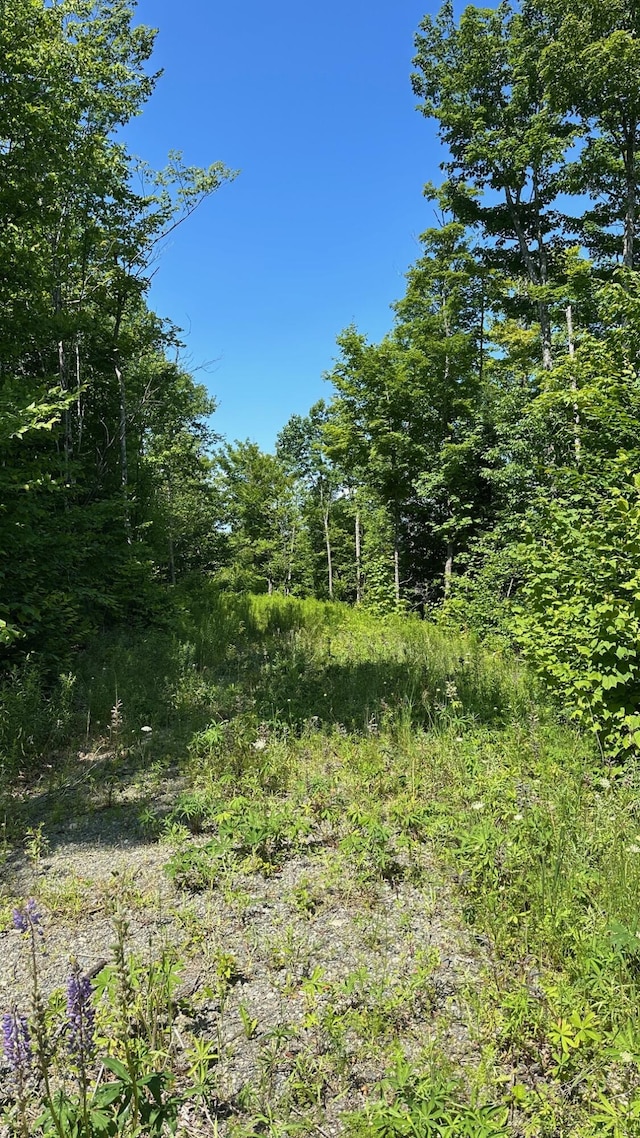 33 Bay View Dr, Greenville, ME 04441 - photo 4