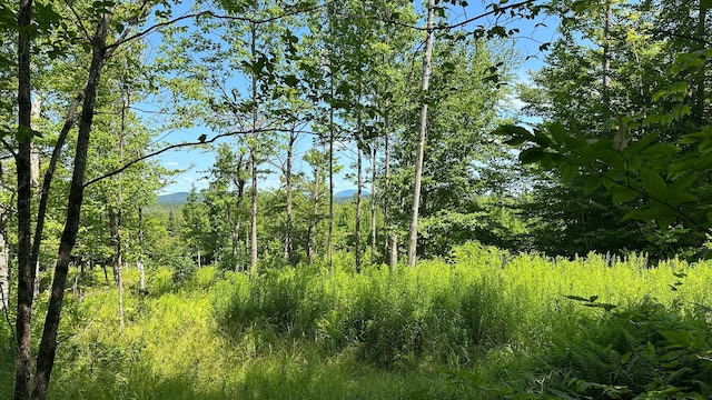 33 Bay View Dr, Greenville, ME 04441 - photo 2