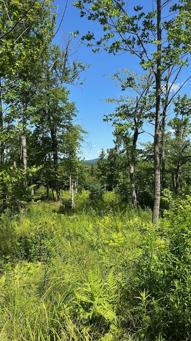 33 Bay View Dr, Greenville, ME 04441 - photo 5