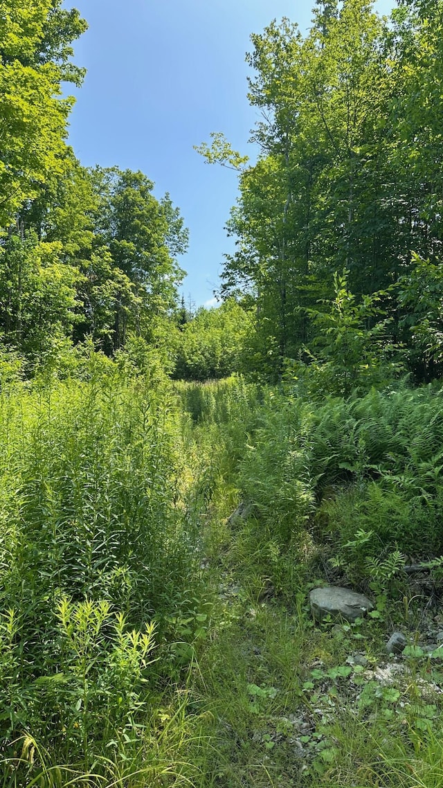 33 Bay View Dr, Greenville, ME 04441 - photo 6
