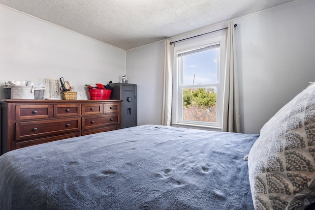 2 Airport Rd, Turner, ME 04282 - bedroom featuring ornamental molding and a textured ceiling