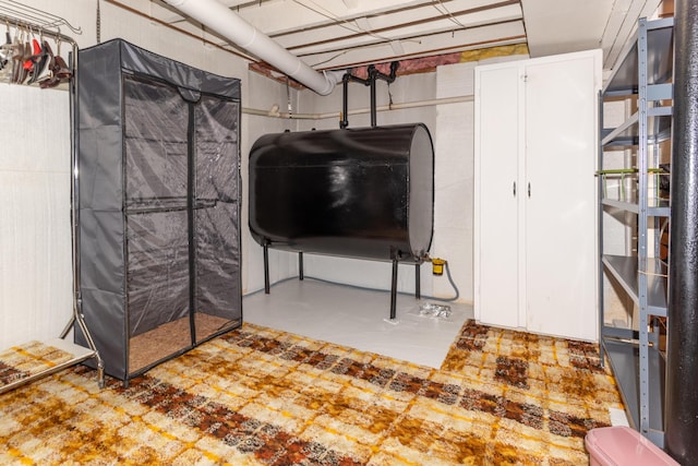 unfinished basement with oil tank